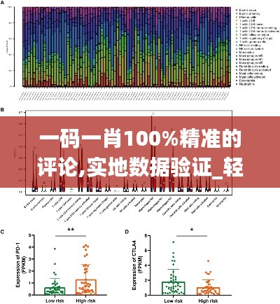 一碼一肖100%精準的評論,實地數(shù)據(jù)驗證_輕量版QFO8.15