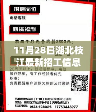 湖北枝江最新招工熱潮，11月28日招工信息匯總與枝江新篇章開啟