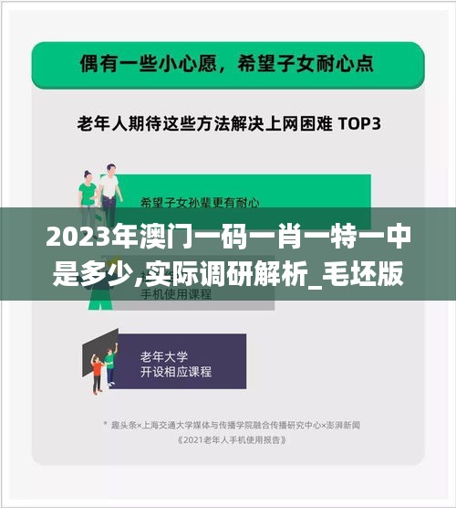2023年澳門一碼一肖一特一中是多少,實際調(diào)研解析_毛坯版DKL4.52
