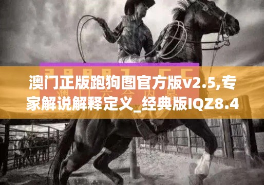 澳門正版跑狗圖官方版v2.5,專家解說解釋定義_經(jīng)典版IQZ8.4