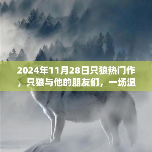 只狼與他的朋友們，一場溫馨的冒險(xiǎn)之旅（2024年11月28日）