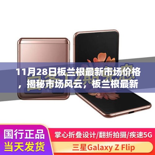 揭秘板蘭根最新市場價(jià)格動(dòng)態(tài)解析（最新報(bào)告，11月28日版）