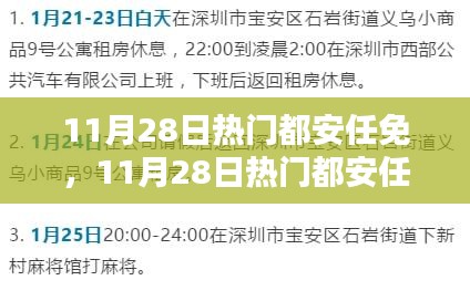 11月28日熱門都安任免步驟指南，適合初學(xué)者與進(jìn)階用戶