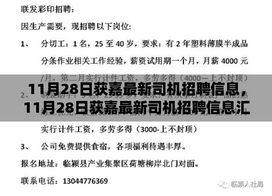 11月28日獲嘉司機招聘信息大全，掌握未來職業(yè)機遇的鑰匙