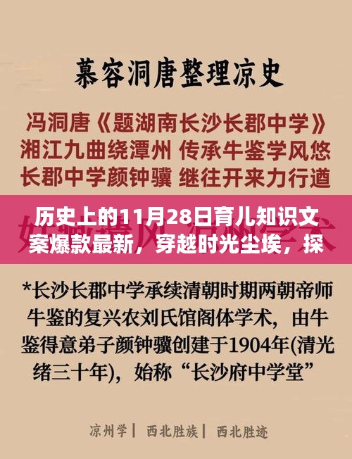歷史上的11月28日育兒知識(shí)背后的故事，探尋育兒寶藏，揭秘爆款文案背后的故事。