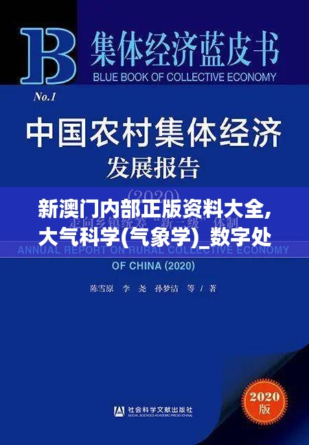 新澳門內部正版資料大全,大氣科學(氣象學)_數(shù)字處理版UUJ91.936