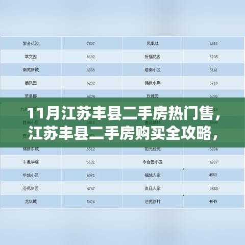 江蘇豐縣二手房購買指南，熱門房源選購攻略與全攻略詳解