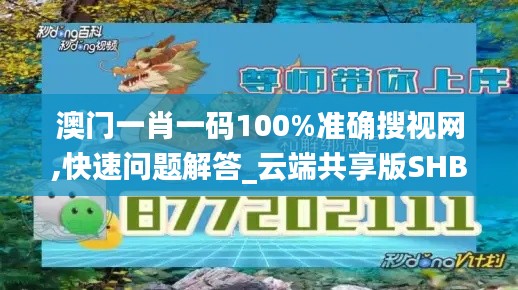 澳門(mén)一肖一碼100%準(zhǔn)確搜視網(wǎng),快速問(wèn)題解答_云端共享版SHB80.288