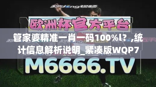 管家婆精準(zhǔn)一肖一碼100%l？,統(tǒng)計(jì)信息解析說明_緊湊版WQP7.315