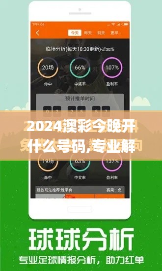 2024澳彩今晚開什么號(hào)碼,專業(yè)解讀方案實(shí)施_精選版LOA76.661