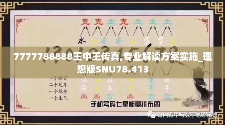 7777788888王中王傳真,專業(yè)解讀方案實(shí)施_理想版SNU78.413