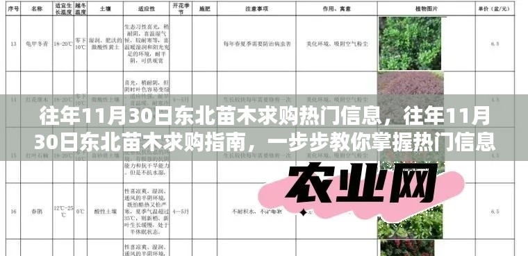掌握技巧，揭秘往年11月30日東北苗木求購熱門信息及指南