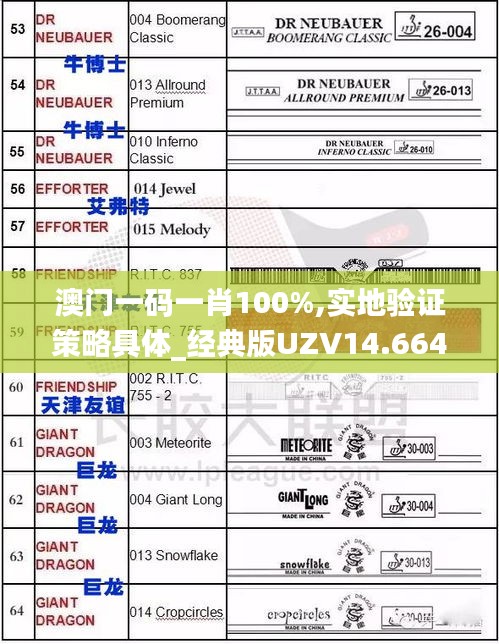 澳門一碼一肖100%,實(shí)地驗(yàn)證策略具體_經(jīng)典版UZV14.664