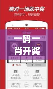 一碼一肖開(kāi)獎(jiǎng)結(jié)果,實(shí)踐調(diào)查說(shuō)明_VR版VCI73.438
