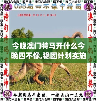 今晚澳門特馬開什么今晚四不像,穩(wěn)固計(jì)劃實(shí)施_原創(chuàng)版FEJ77.222