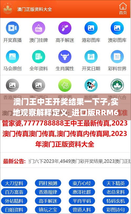 澳門王中王開獎(jiǎng)結(jié)果一下子,實(shí)地觀察解釋定義_進(jìn)口版RRM69.574