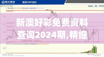 新澳好彩免費(fèi)資料查詢2024期,精細(xì)化方案決策_(dá)閃電版GTL58.156