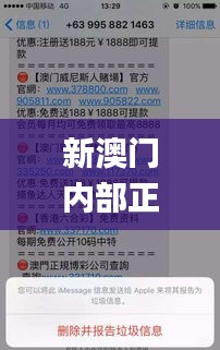 新澳門(mén)內(nèi)部正版資料大全,即時(shí)解答解析分析_增強(qiáng)版JWG19.358