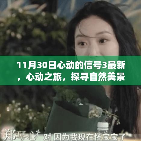 心動(dòng)之旅，探尋自然美景的奇妙旅程（心動(dòng)的信號(hào)3最新報(bào)道）