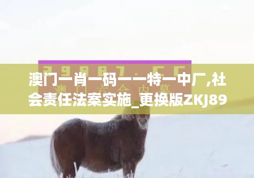 澳門一肖一碼一一特一中廠,社會(huì)責(zé)任法案實(shí)施_更換版ZKJ89.486