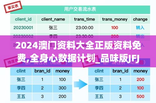2024澳門資料大全正版資料免費,全身心數(shù)據(jù)計劃_品味版JFJ38.501