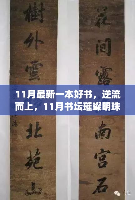逆流而上，11月書壇璀璨明珠——最新好書〈XXXX〉解讀