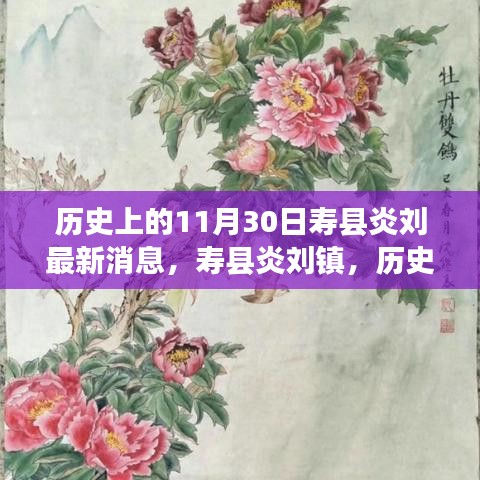 歷史上的壽縣炎劉鎮(zhèn)，最新發(fā)展篇章揭秘（最新消息）