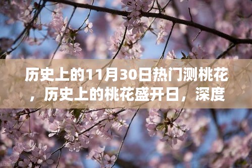 歷史上的桃花盛開日，深度解讀11月30日的情緣變遷與盛開日測桃花盛況