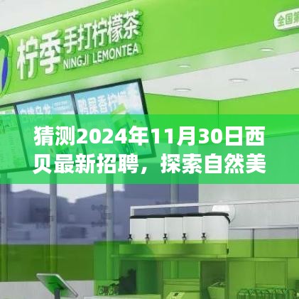西貝招聘啟程，探索自然美景之旅，尋找內心的寧靜與平和新崗位揭曉（2024年最新招聘）