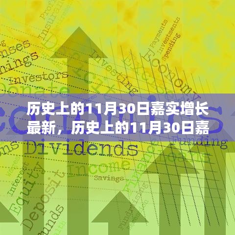 深度解析，嘉實(shí)增長(zhǎng)在歷史上的11月30日最新動(dòng)態(tài)與觀點(diǎn)闡述