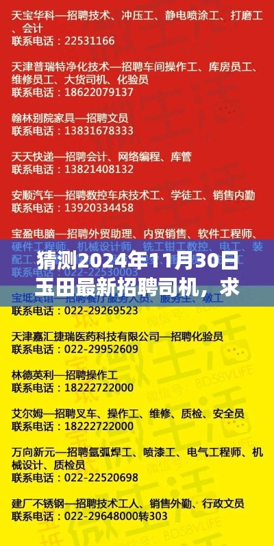 玉田最新招聘司機求職指南，如何準(zhǔn)備并成功應(yīng)聘（預(yù)測版2024年11月）