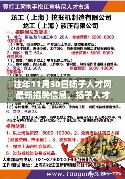 揚(yáng)子人才網(wǎng)最新招聘信息及求職指南，順利求職的完全步驟概覽