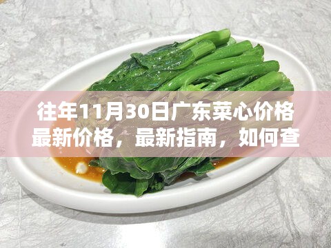 往年11月30日廣東菜心價(jià)格詳解，最新指南與查詢方法，適合初學(xué)者與進(jìn)階用戶參考