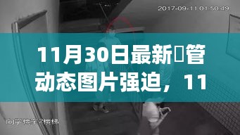 11月30日最新熱門動態(tài)圖片，潮流風(fēng)尚的引領(lǐng)者