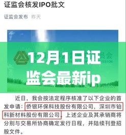 證監(jiān)會最新IPO名單揭曉，12月新紀元下的資本市場動態(tài)