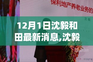 深度解析，沈毅和田最新動(dòng)態(tài)與各方觀點(diǎn)