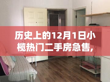 揭秘小欖十二月一日二手房市場(chǎng)急售背后的歷史印記