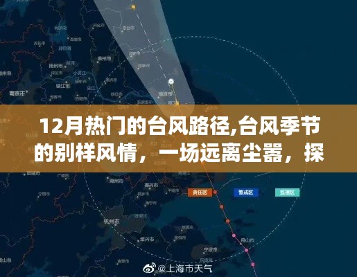 臺風(fēng)季節(jié)的奇妙之旅，探尋內(nèi)心平靜與別樣風(fēng)情之旅