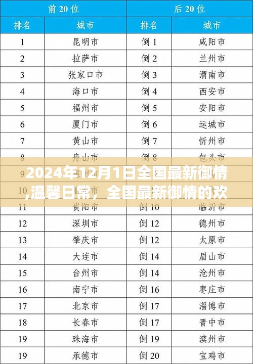 2024年12月1日全國(guó)御情溫馨日常，趣事與友情的歡樂(lè)時(shí)光
