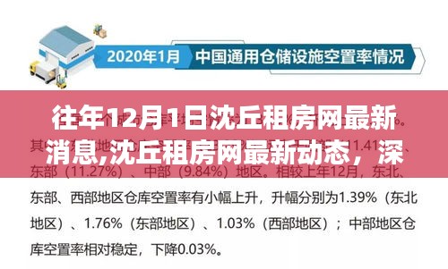 往年12月1日沈丘租房網最新動態(tài)與房源解析，深度解讀與用戶體驗報告