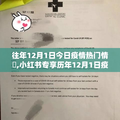 小紅書專享歷年疫情熱點(diǎn)深度解析，歷年12月1日疫情熱門情況回顧與解析