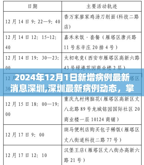 2024年深圳最新病例動(dòng)態(tài)及應(yīng)對策略，掌握新增病例查詢方法與應(yīng)對技巧