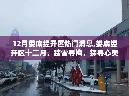 釵荊裙布 第4頁