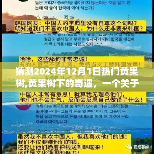 黃果樹下的溫情奇遇，友情、愛與陪伴的感人故事（猜測2024年12月1日熱門話題）