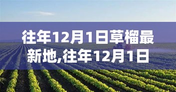 往年12月1日探訪草榴最新地，生態(tài)、科研與應(yīng)用價值深度探討