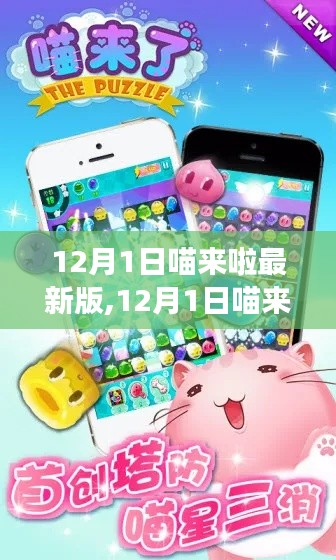 12月1日喵來啦全新版本發(fā)布，特色功能與體驗一網(wǎng)打盡