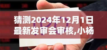小楊的發(fā)審會奇遇，2024年12月1日的溫馨猜想與最新發(fā)審會審核展望