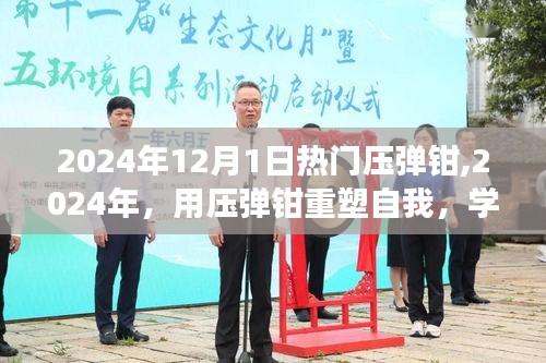 壓彈鉗重塑自我，學(xué)習(xí)之旅中的自信與成就感塑造之路（2024年）