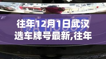 武漢選車牌號最新動(dòng)態(tài)解讀，選號策略與趨勢分析（往年12月1日更新）