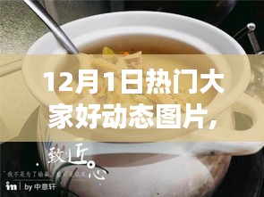 揭秘十二月一日熱門動態(tài)圖片，小巷深處的動感樂園背后的故事